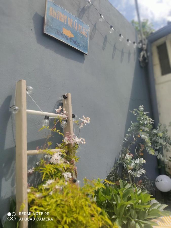 Le Cocon Des Hortillonnages D'Amiens Camon  Exteriör bild