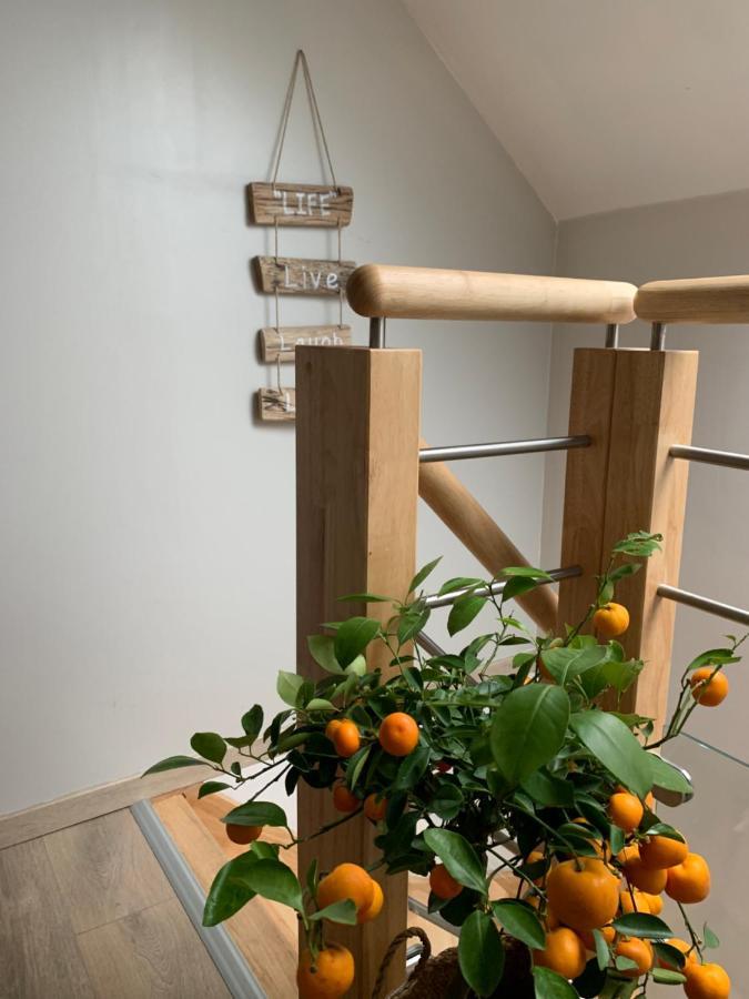 Le Cocon Des Hortillonnages D'Amiens Camon  Exteriör bild