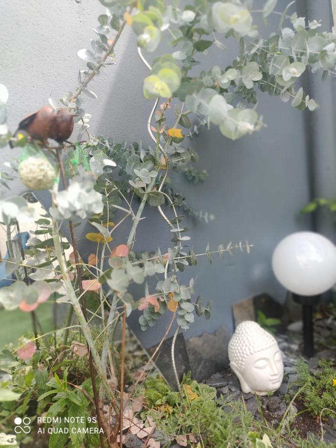 Le Cocon Des Hortillonnages D'Amiens Camon  Exteriör bild