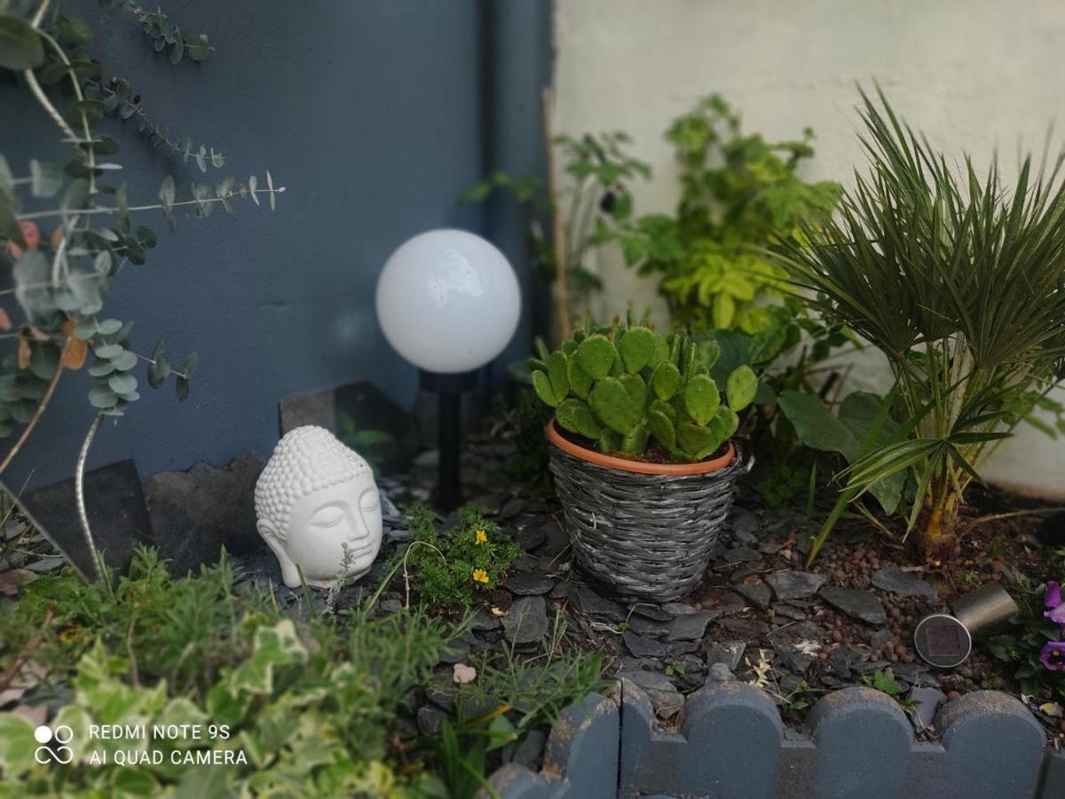 Le Cocon Des Hortillonnages D'Amiens Camon  Exteriör bild
