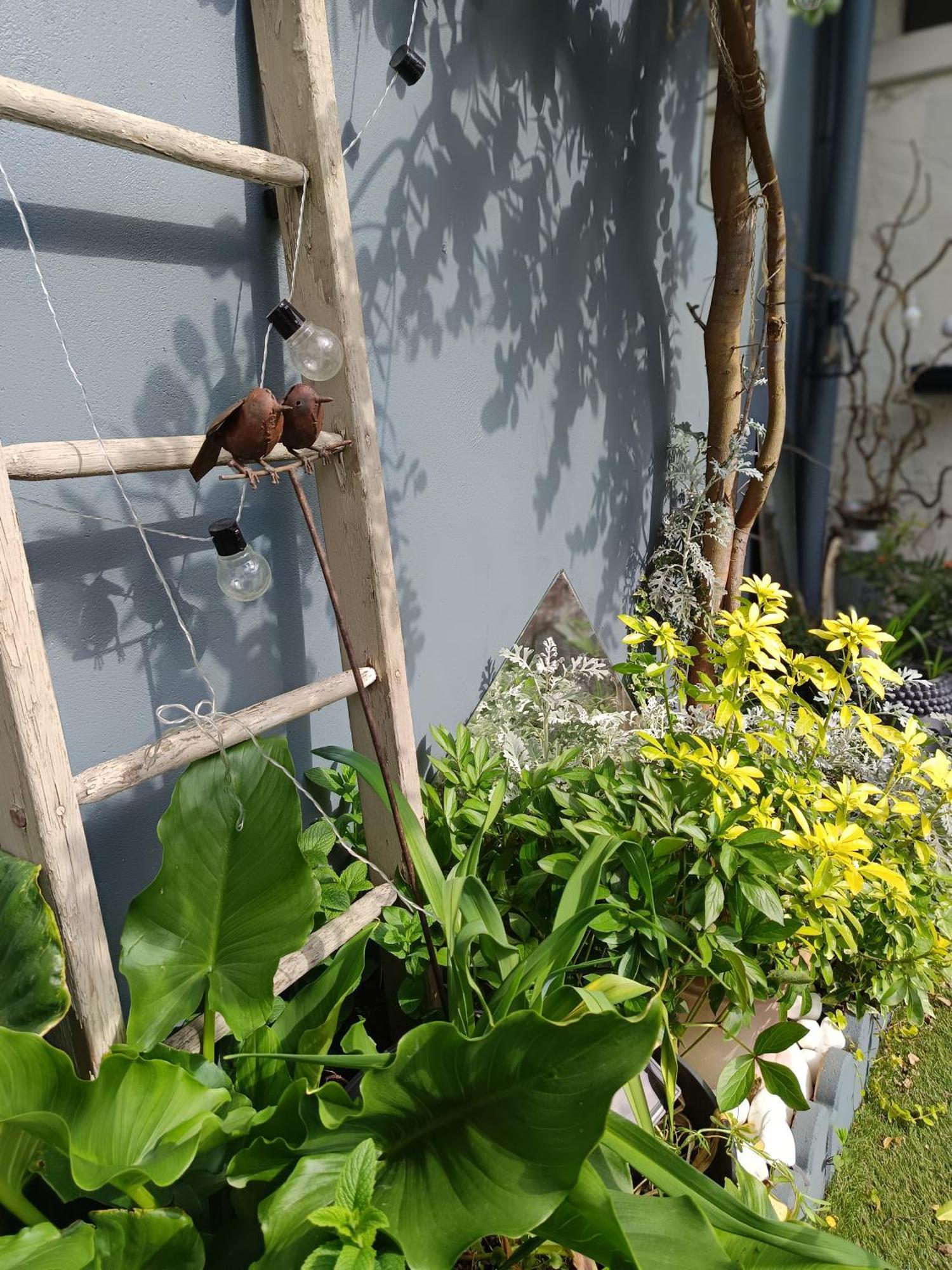 Le Cocon Des Hortillonnages D'Amiens Camon  Exteriör bild